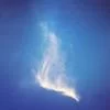 填写信息